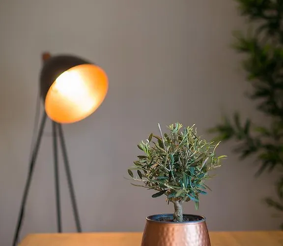 Dream Istria Πόρετς